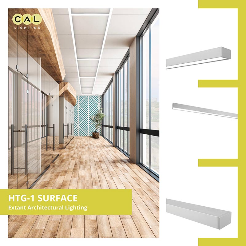 HTG-1 Surface T-Grid