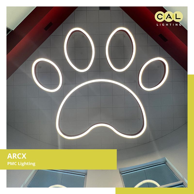 ArcX